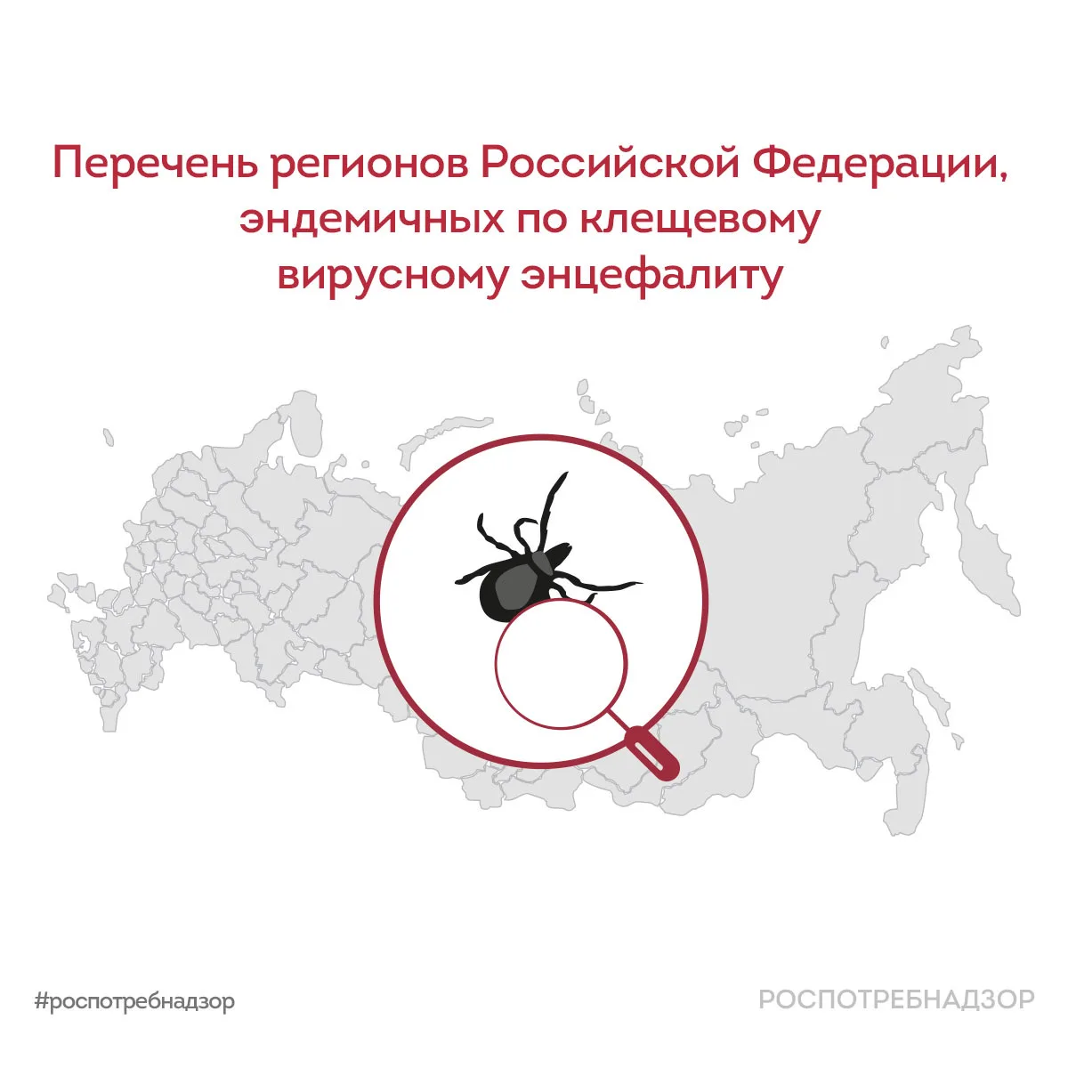 Эндемичные регионы по клещевому вирусному энцефалиту в России