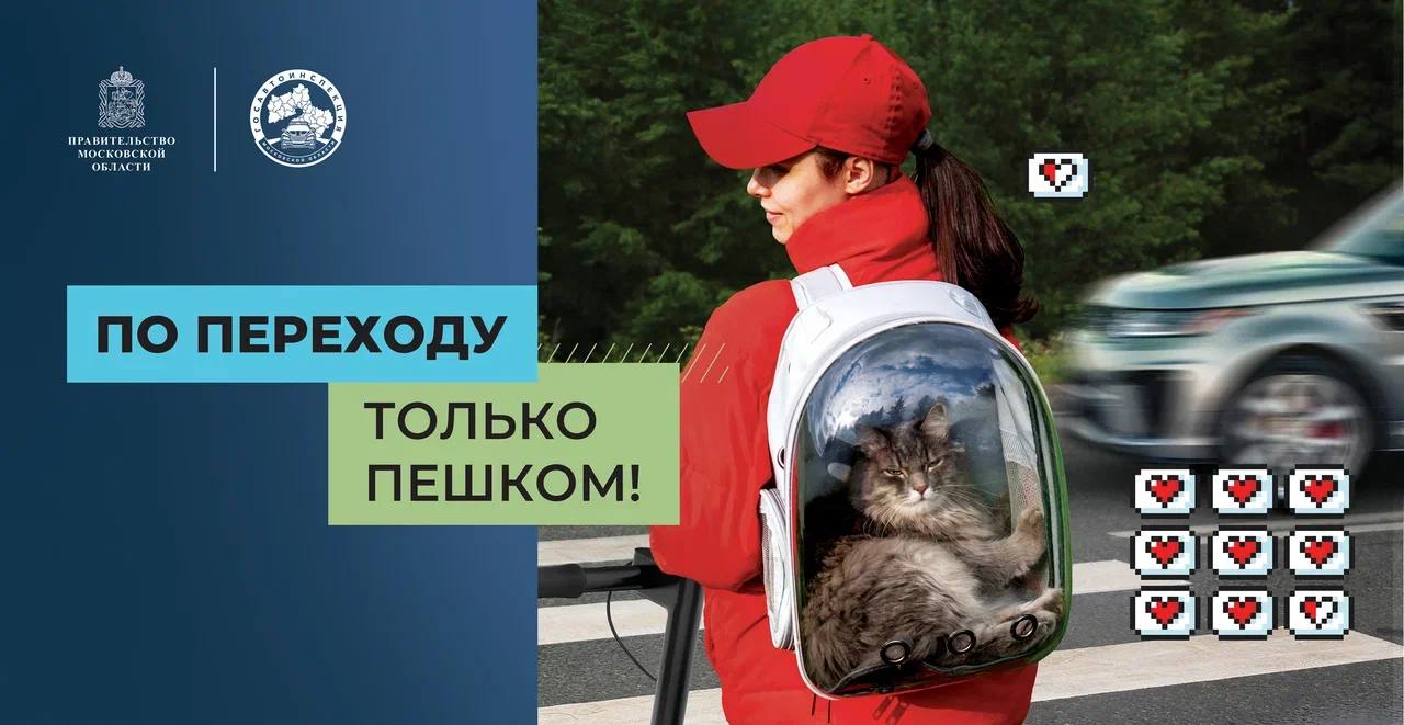 В Московской области стартовал социальный раунд «Безопасная мобильность» В Московской области стартовал социальный раунд «Безопасная мобильность»
