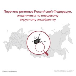 ��������������� �������� ������ ��������, ��� ���������� ���� ��������� �������� �����������