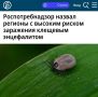 «Роспотребнадзор назвал регионы с высоким риском заражения клещевым энцефалитом»: Подмосковье, Ленинградская область и Крым – места, где с наибольшей вероятностью можно стать жертвой клеща