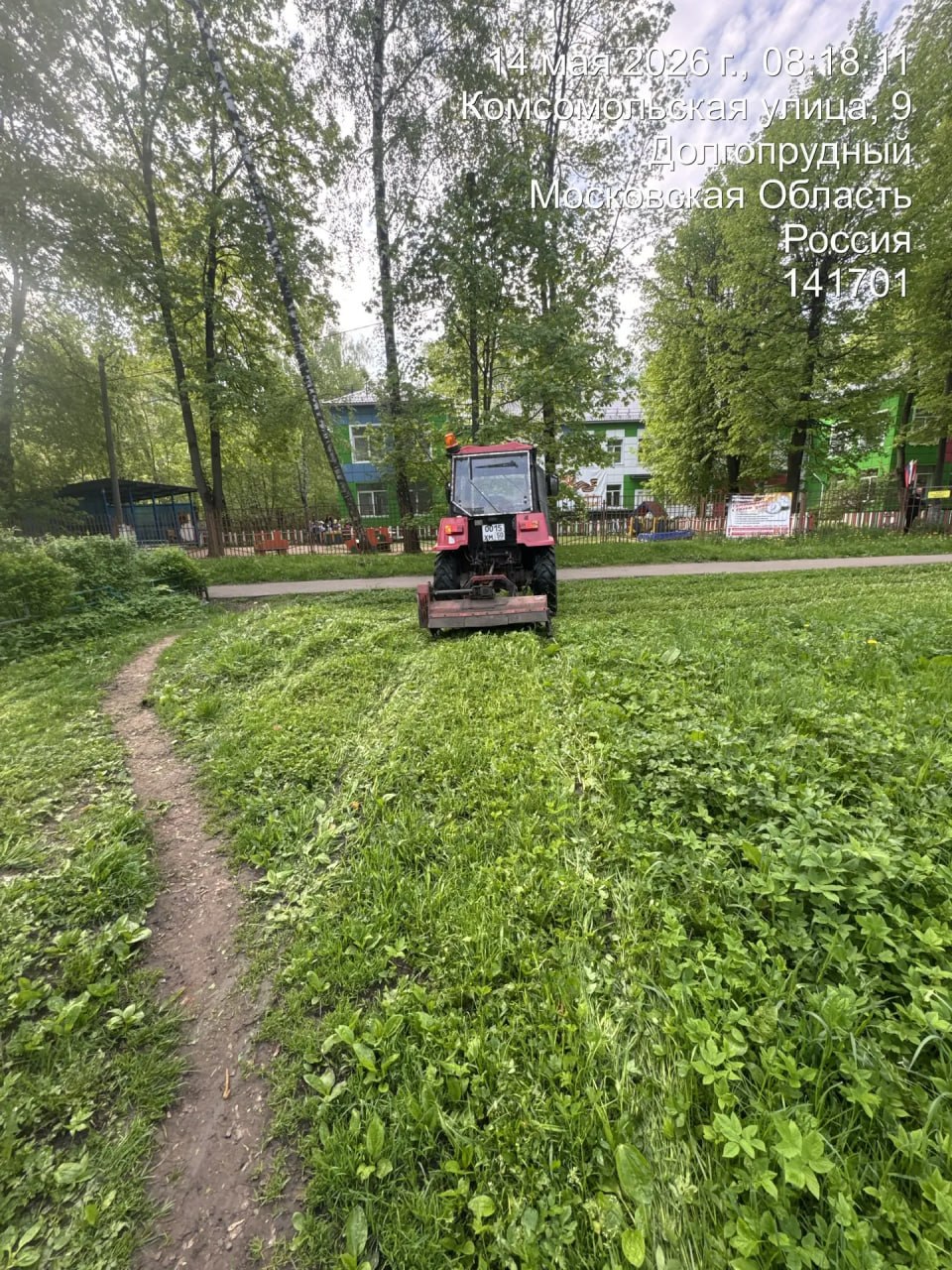 Сенокос в городе: работы ведутся в разных районах Долгопрудного Сенокос в городе: работы ведутся в разных районах Долгопрудного