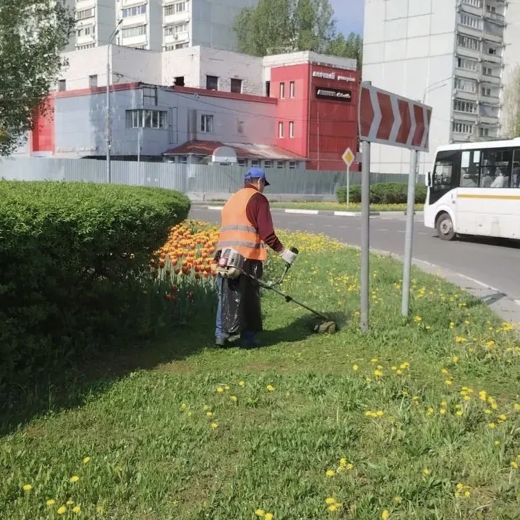 Юлия Купецкая: К порядку шаг за шагом – продолжаем ежедневную уборку Юлия Купецкая: К порядку шаг за шагом – продолжаем ежедневную уборку