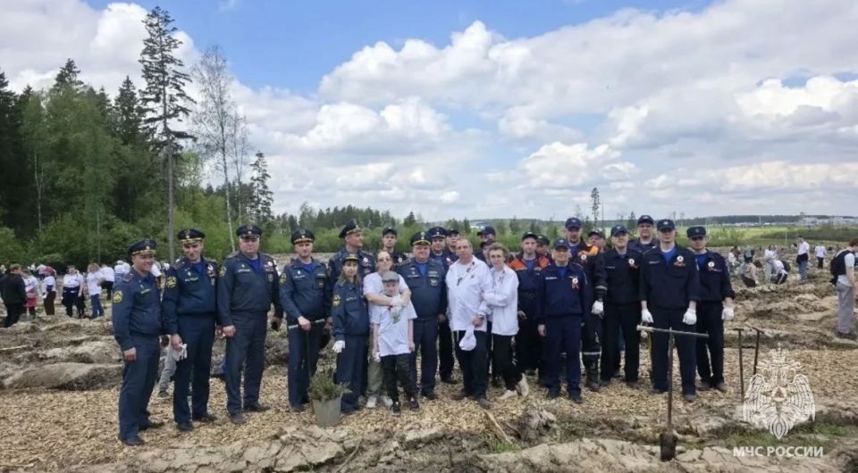Сотрудники МЧС России Подмосковья приняли участие в акции «Сад Памяти» Сотрудники МЧС России Подмосковья приняли участие в акции «Сад Памяти»