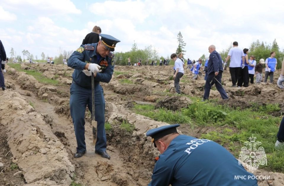 Сотрудники МЧС России Подмосковья приняли участие в акции «Сад Памяти» Сотрудники МЧС России Подмосковья приняли участие в акции «Сад Памяти»