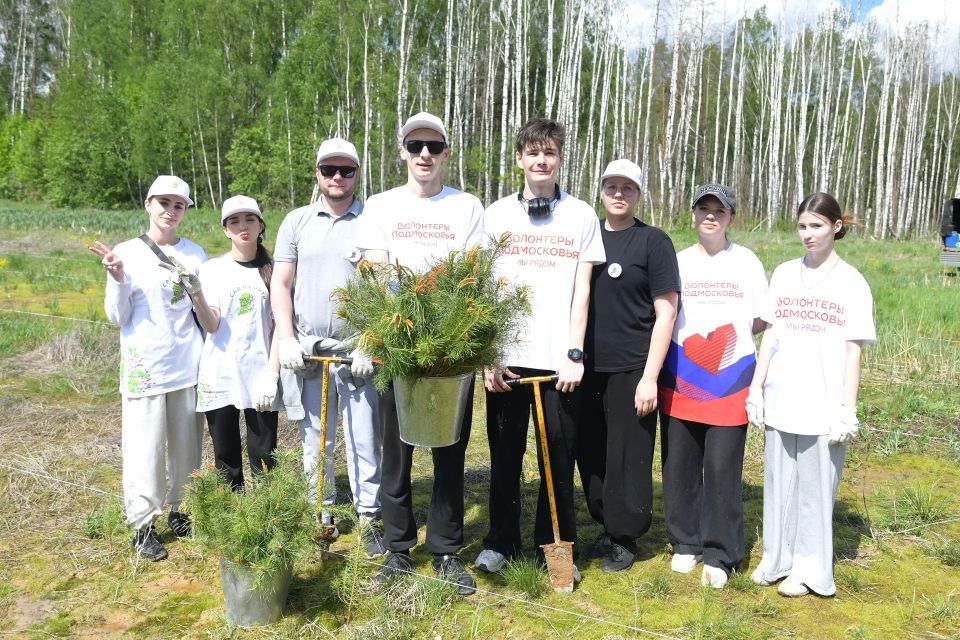 8 тысяч саженцев сосны высадили на двух гектарах в рамках акции «Сад памяти» 8 тысяч саженцев сосны высадили на двух гектарах в рамках акции «Сад памяти»