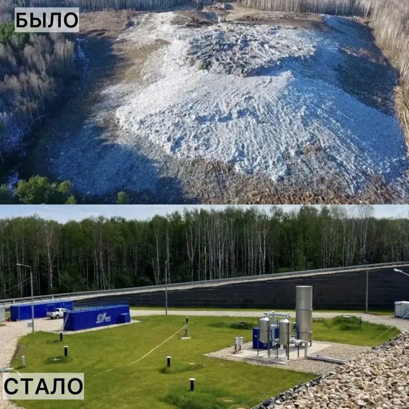 8 тысяч саженцев сосны высадили на двух гектарах в рамках акции «Сад памяти» 8 тысяч саженцев сосны высадили на двух гектарах в рамках акции «Сад памяти»