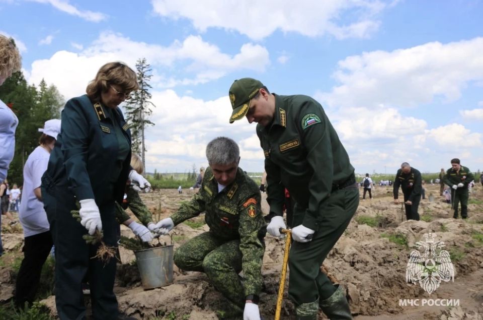 Сотрудники МЧС России Подмосковья приняли участие в акции «Сад Памяти» Сотрудники МЧС России Подмосковья приняли участие в акции «Сад Памяти»