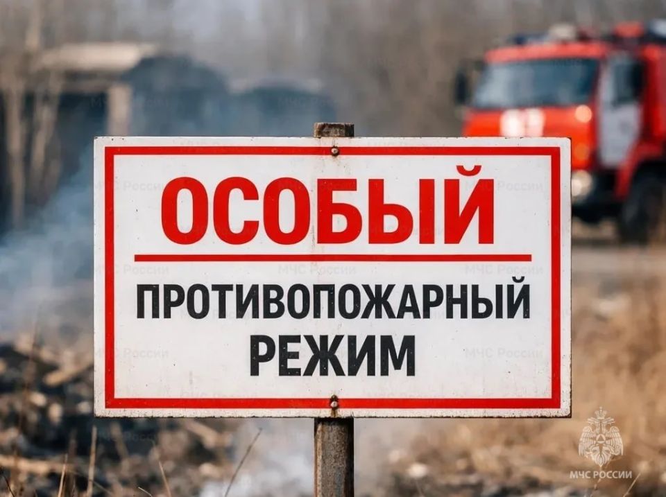 Уважаемые жители и гости Пушкинского! Напоминаем, в Подмосковье действует особый противопожарный режим!