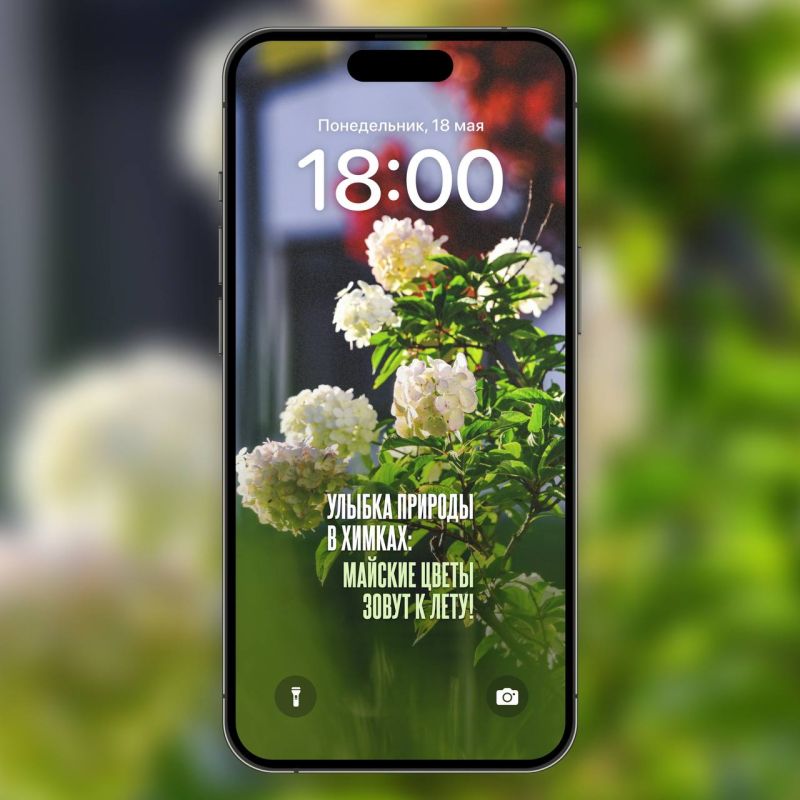 Химки в мае: превратите экран смартфона в весеннюю открытку Химки в мае: превратите экран смартфона в весеннюю открытку