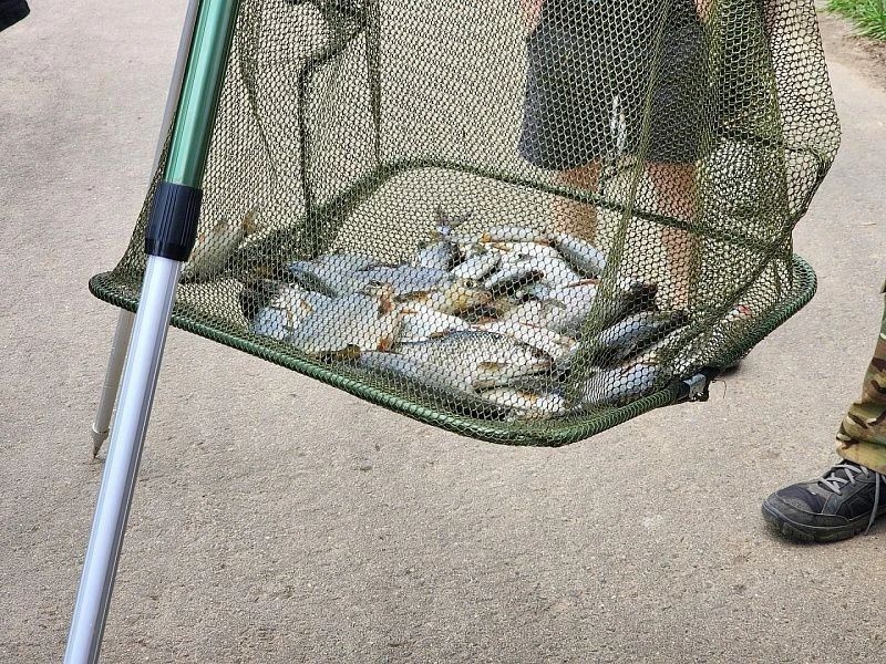 «Новичкам везёт»: воскресенец взял Кубок по рыбной ловле за улов весом более 5 килограммов «Новичкам везёт»: воскресенец взял Кубок по рыбной ловле за улов весом более 5 килограммов