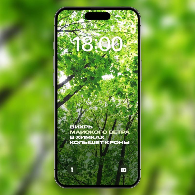 Химки в мае: превратите экран смартфона в весеннюю открытку Химки в мае: превратите экран смартфона в весеннюю открытку