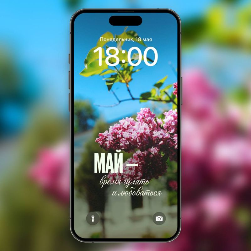 Химки в мае: превратите экран смартфона в весеннюю открытку Химки в мае: превратите экран смартфона в весеннюю открытку