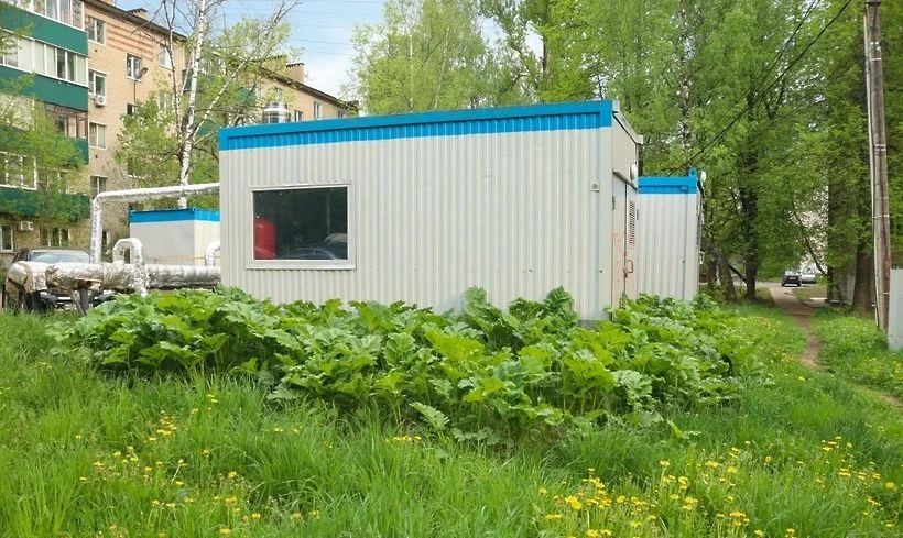 На улице Вертлинской в Солнечногорске устранят борщевик и проведут ямочный ремонт На улице Вертлинской в Солнечногорске устранят борщевик и проведут ямочный ремонт