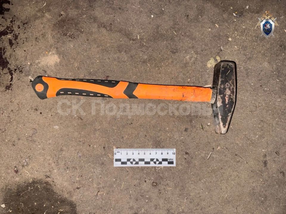 В Дмитрове местному жителю предъявлено обвинение в убийстве знакомого