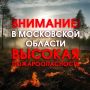 ��������: ��������������� ����������������� �������