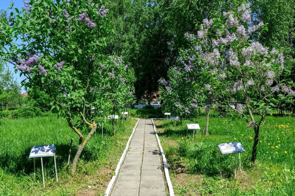 В колледже Подольска прошла акция «Сирень Победы» с участием ветерана Великой Отечественной войны В колледже Подольска прошла акция «Сирень Победы» с участием ветерана Великой Отечественной войны