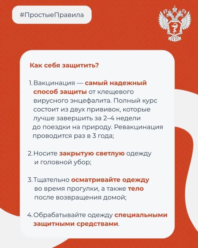 Что делать при укусе клеща? Что делать при укусе клеща?