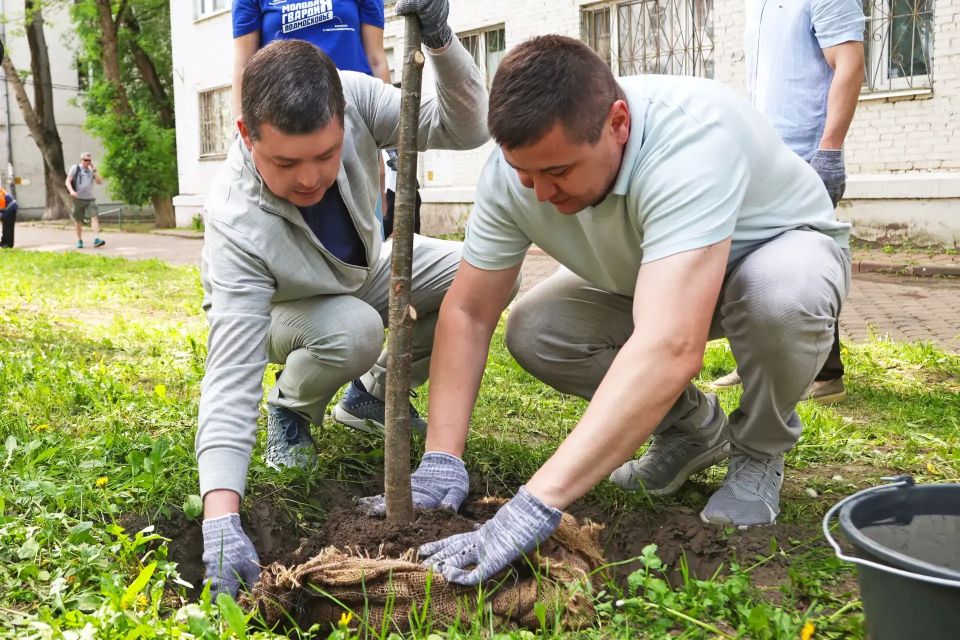 Раменский округ присоединился к международной акции «Сад памяти»