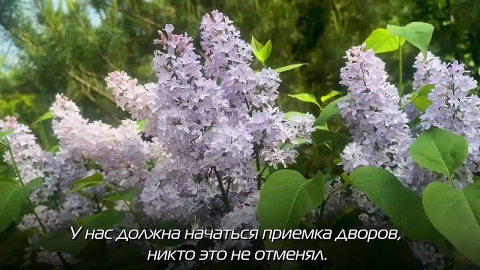 Дмитрий Волков: Провел расширенное оперативное совещание, где первоочередной акцент был сделан на приоритетах чистоты, порядка и благоустройства в наступающем летнем сезоне, а также подготовке к предстоящему Дню защиты детей...