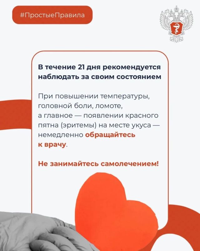 Что делать при укусе клеща? Что делать при укусе клеща?