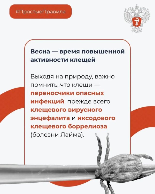 Что делать при укусе клеща? Что делать при укусе клеща?
