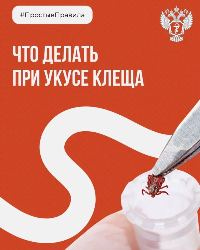 Что делать при укусе клеща?