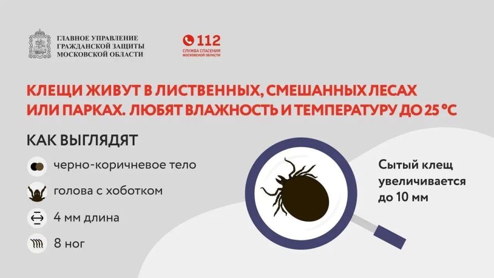 Осторожно: сезон клещей в Раменском округе Осторожно: сезон клещей в Раменском округе