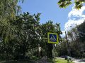 10 основных правил безопасного поведения пешеходов на дорогах: