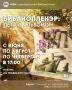 PRO / АНОНС. Центральная библиотека приглашает на летние скетч-пленэры! Под руководством Ирины Кикиной, члена Ассоциации художников-пленэристов, вы научитесь рисовать быстро, смело и с удовольствием