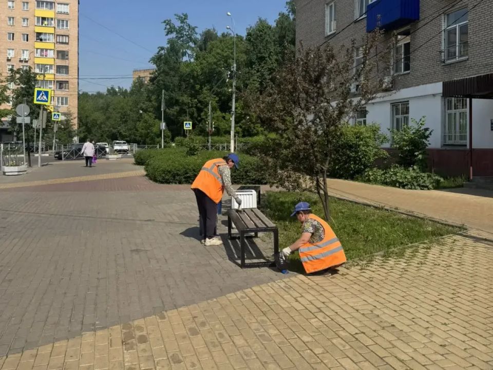 Юлия Купецкая: В округе — ежедневная уборка и порядок на улицах! Юлия Купецкая: В округе — ежедневная уборка и порядок на улицах!