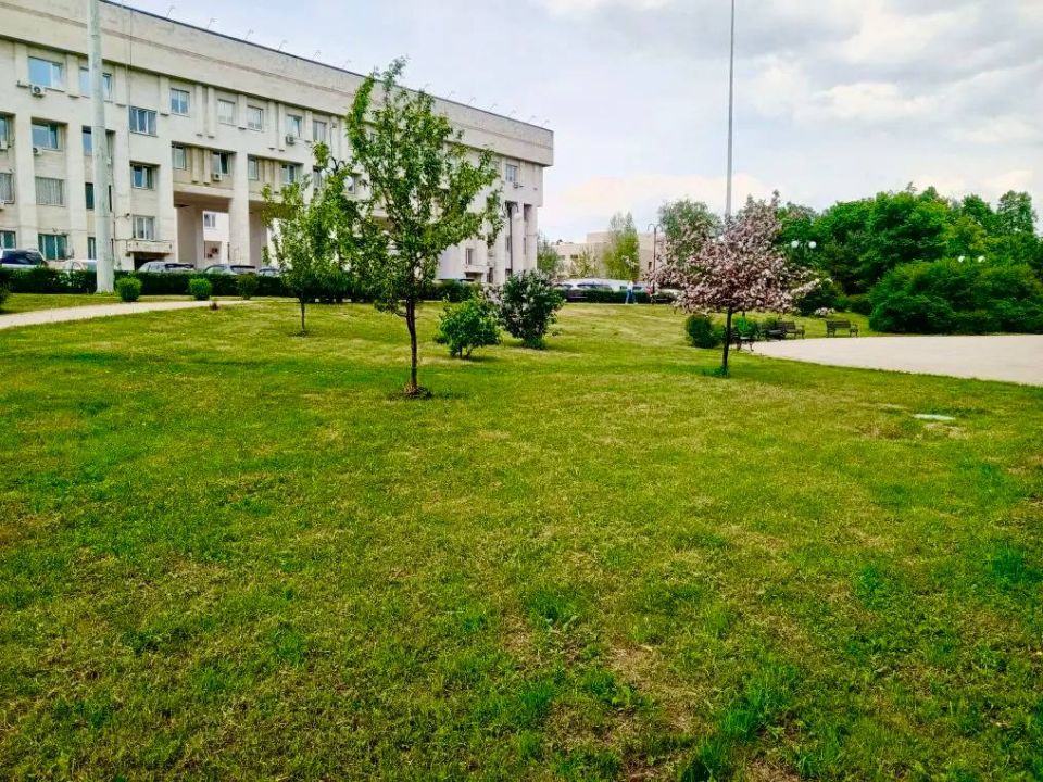 В Центральном парке провели работы по покосу газонов, а также обновили и украсили цветочные клумбы В Центральном парке провели работы по покосу газонов, а также обновили и украсили цветочные клумбы