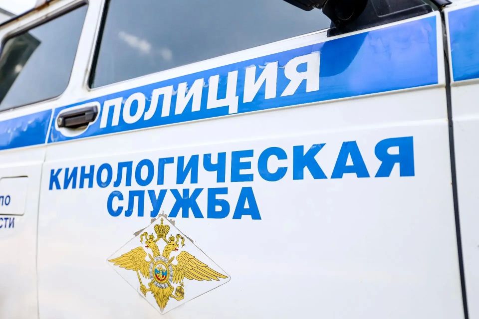 Дмитрий Волков: В Красногорске строим новое здание кинологического центра, которое станет уютным, современным пространством для наших полицейских-кинологов и для их четвероногих помощников Дмитрий Волков: В Красногорске строим новое здание кинологического центра, которое станет уютным, современным пространством для наших полицейских-кинологов и для их четвероногих помощников