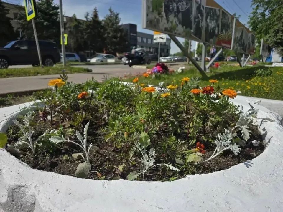 В поселках Люберец стартовало летнее озеленение общественных пространств В поселках Люберец стартовало летнее озеленение общественных пространств