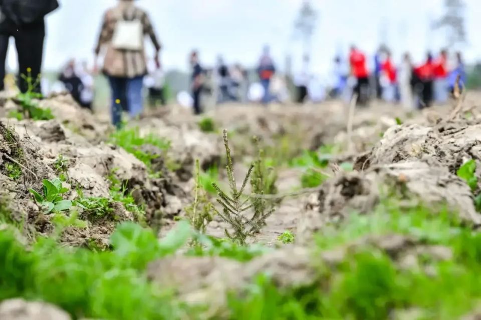 Росгвардейцы приняли участие в Международной акции "Сад памяти" в Подмосковье Росгвардейцы приняли участие в Международной акции "Сад памяти" в Подмосковье