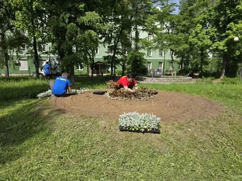 В поселках Люберец стартовало летнее озеленение общественных пространств