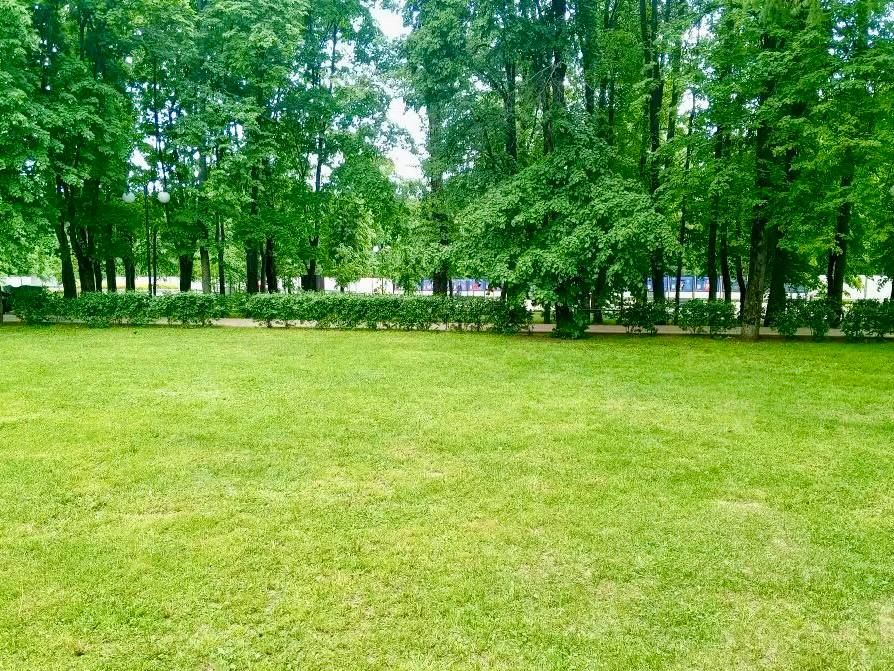 В Центральном парке провели работы по покосу газонов, а также обновили и украсили цветочные клумбы В Центральном парке провели работы по покосу газонов, а также обновили и украсили цветочные клумбы