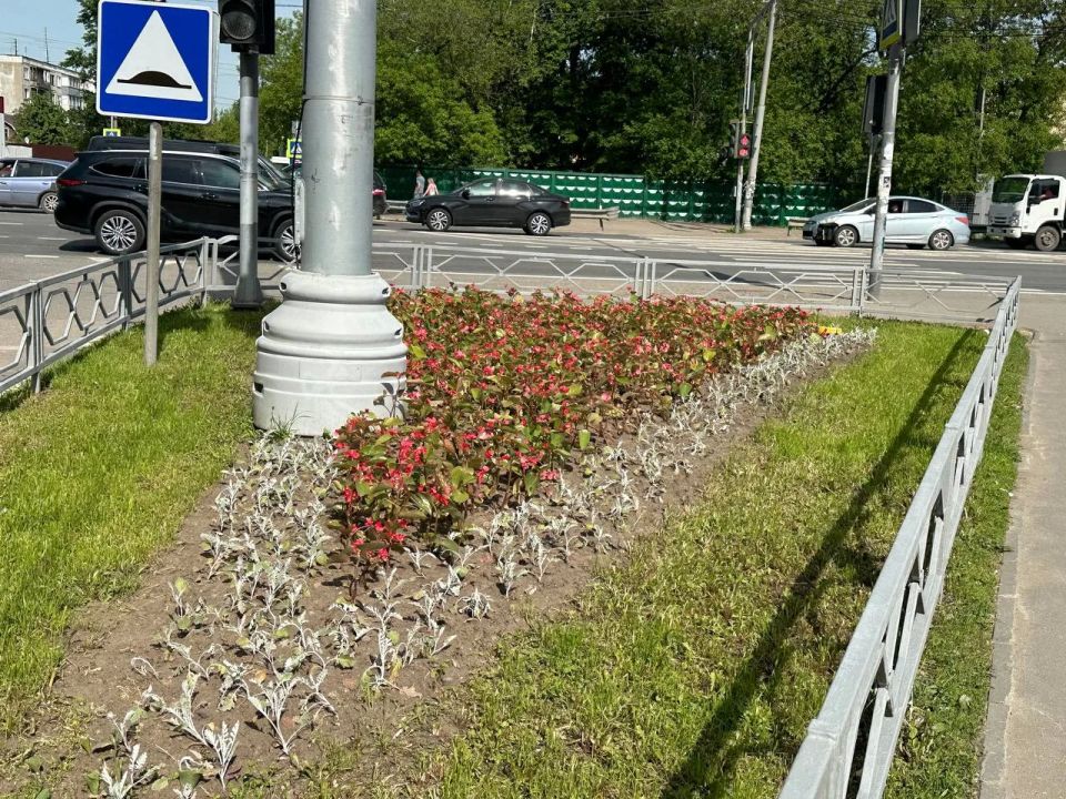 В поселках Люберец стартовало летнее озеленение общественных пространств В поселках Люберец стартовало летнее озеленение общественных пространств