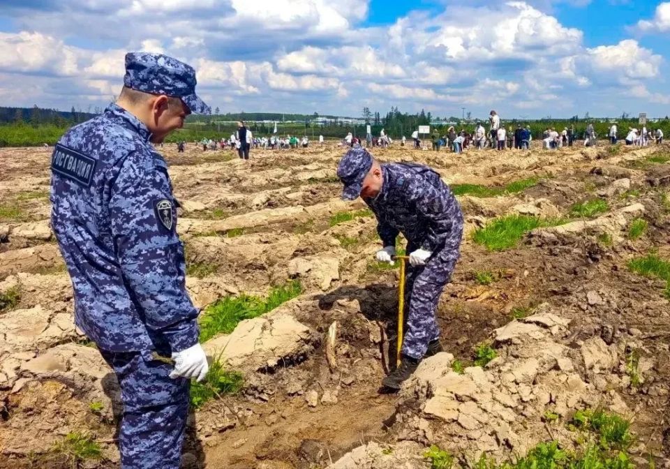 Росгвардейцы приняли участие в Международной акции "Сад памяти" в Подмосковье Росгвардейцы приняли участие в Международной акции "Сад памяти" в Подмосковье