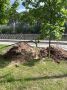 В парке «Ёлочки» продолжается модернизация системы водоотведения