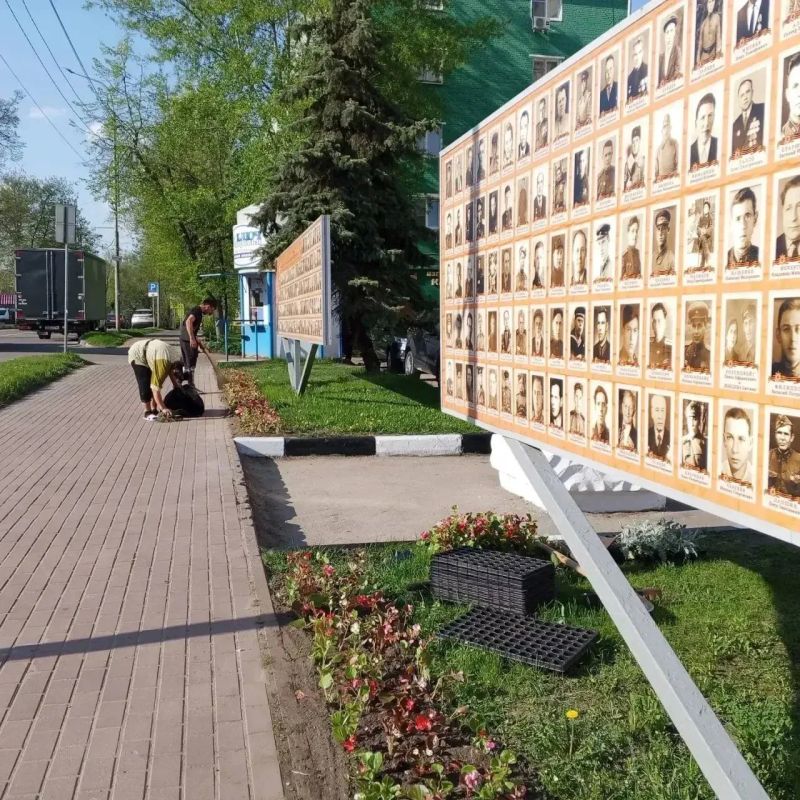 В поселках Люберец стартовало летнее озеленение общественных пространств В поселках Люберец стартовало летнее озеленение общественных пространств