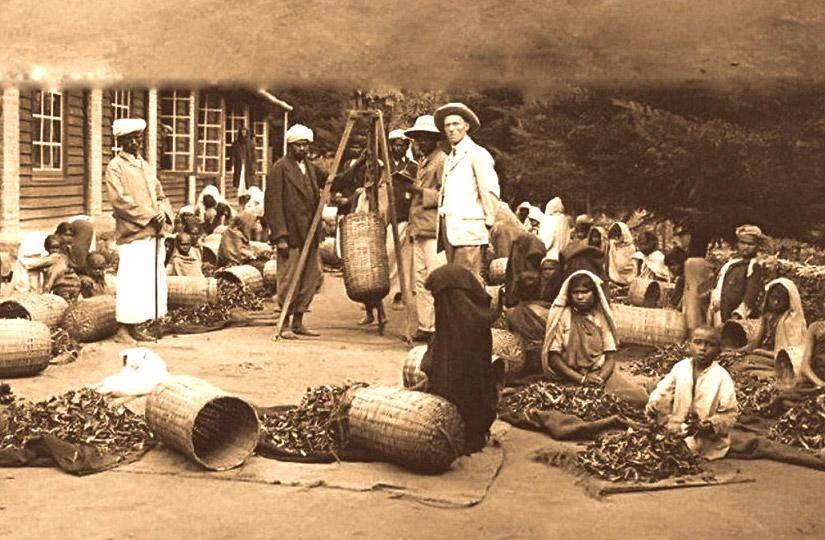 Максим Григорьев: 22 мая 1972 года Цейлон был провозглашён независимой Республикой Шри-Ланка
