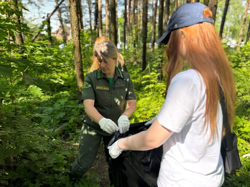 В Воскресенске прошла экологическая акция «Чистый лес» В Воскресенске прошла экологическая акция «Чистый лес»