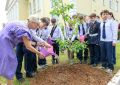 В Дубровицах открылся VIII «Сиреневый фестиваль» — событие, которое давно стало визитной карточкой округа