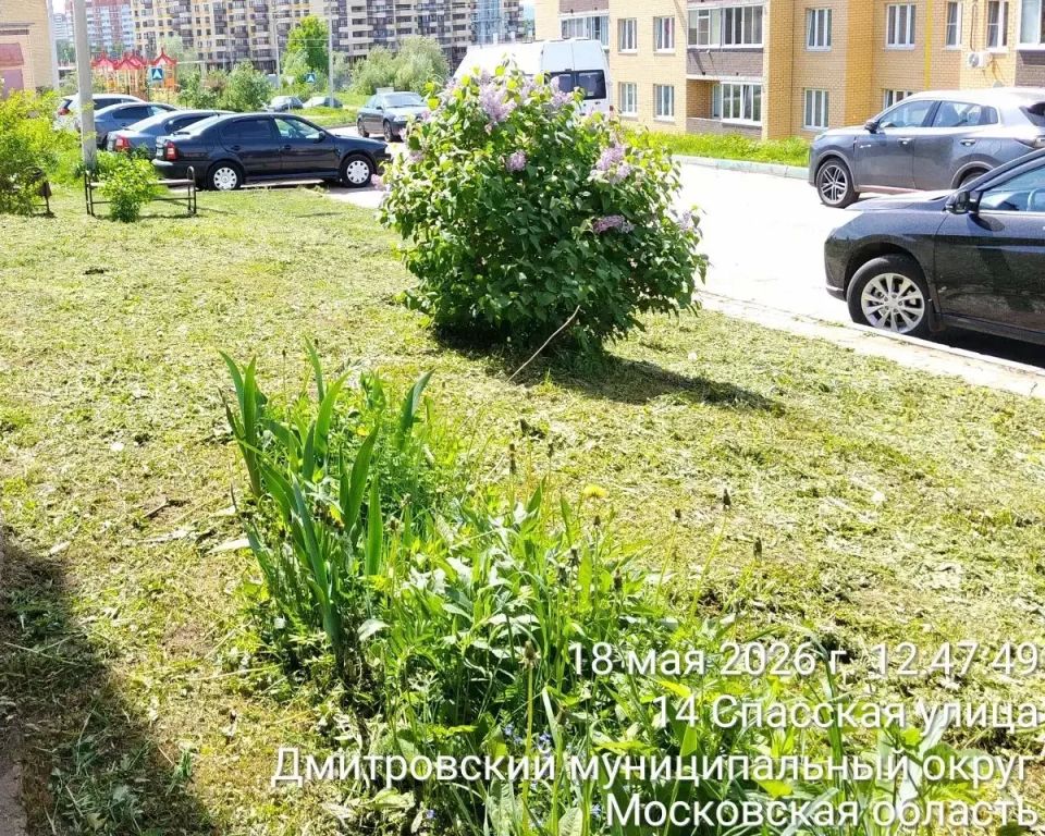Что сделано за последние дни: сводка по округу Что сделано за последние дни: сводка по округу