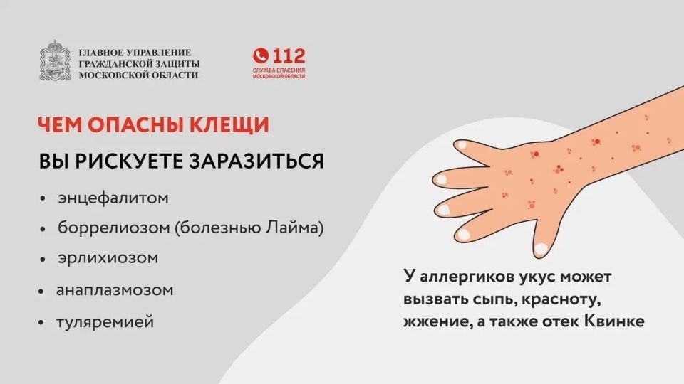 Осторожно: сезон клещей в Раменском округе Осторожно: сезон клещей в Раменском округе