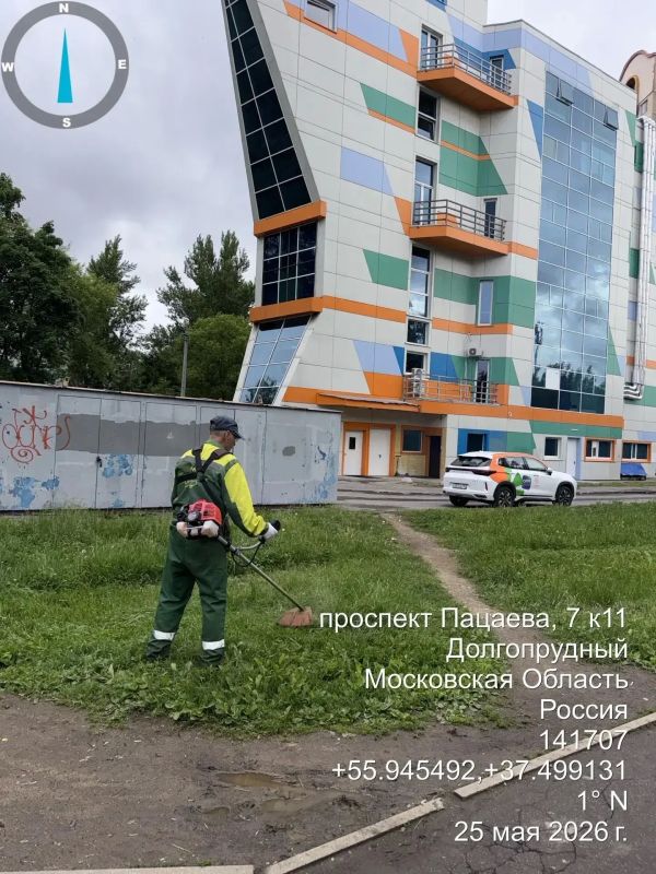 На улицах Долгопрудного работает «городской кот» На улицах Долгопрудного работает «городской кот»