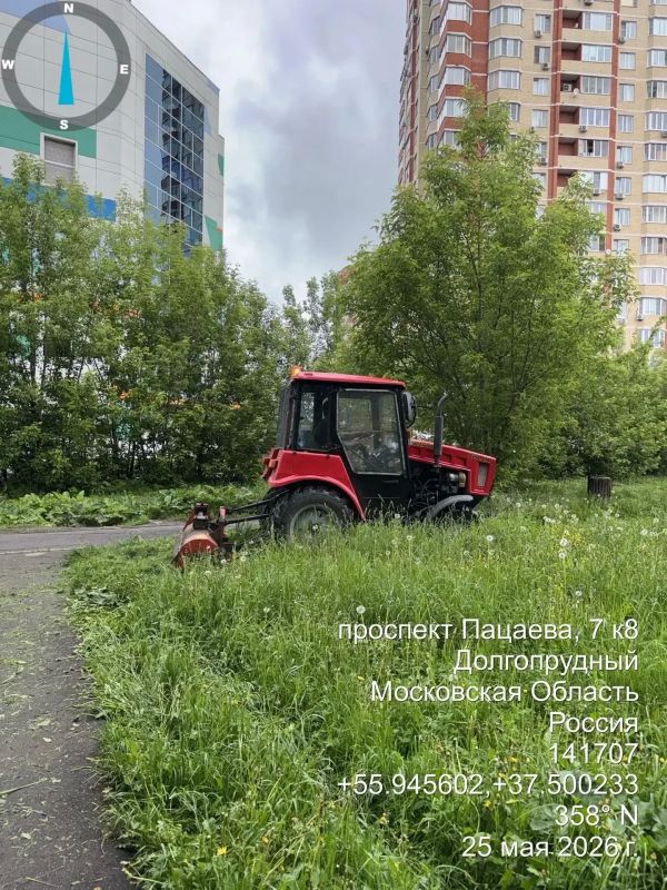 На улицах Долгопрудного работает «городской кот» На улицах Долгопрудного работает «городской кот»
