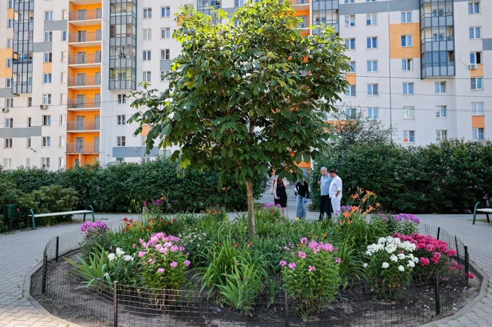 Приглашаем к участию в конкурсе «Мытищинская палитра» Приглашаем к участию в конкурсе «Мытищинская палитра»