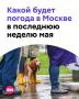 После рекордной жары в столичный регион наконец пришло небольшое похолодание