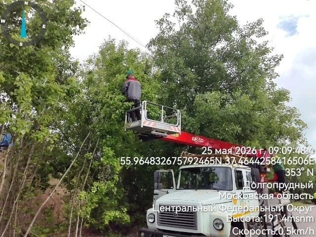 На улицах Долгопрудного работает «городской кот» На улицах Долгопрудного работает «городской кот»
